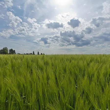 Сasa de vacaciones Near Nature Reserve Bemelen