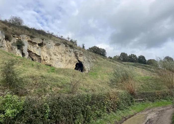 Near Nature Reserve * Bemelen