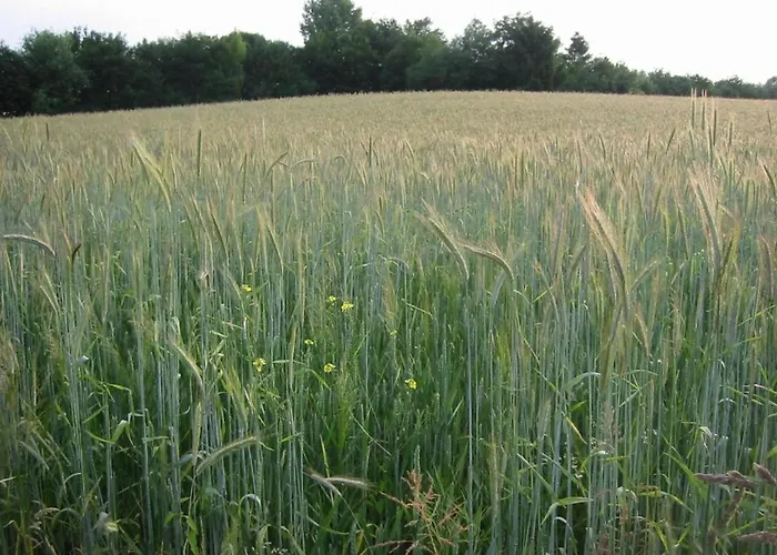 Ferienhaus Near Nature Reserve *