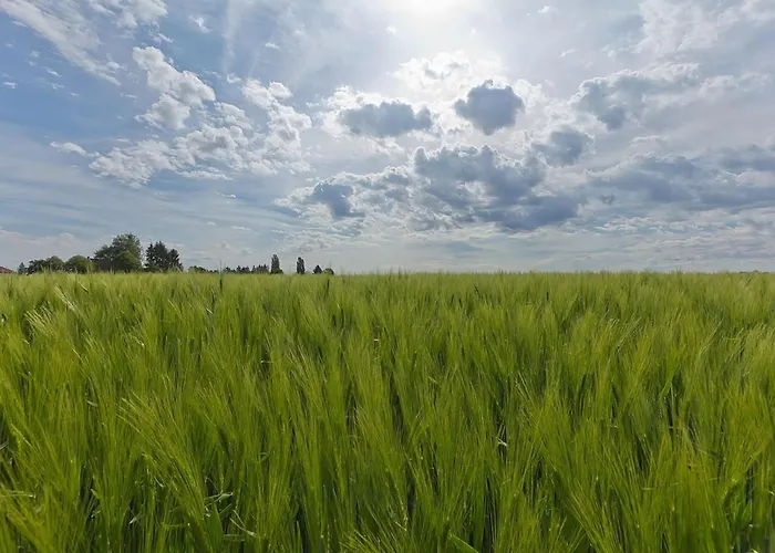 Ferienhaus Near Nature Reserve Bemelen