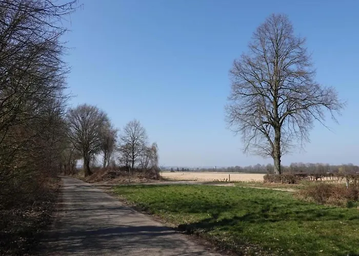 Ferienhaus Near Nature Reserve Bemelen