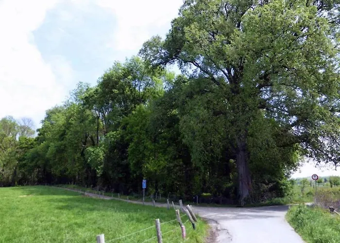 Near Nature Reserve Ferienhaus Bemelen