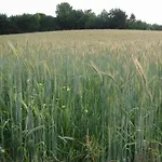 בית נופש Near Nature Reserve *