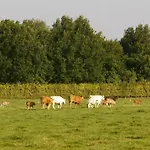 Near Nature Reserve בית נופש *