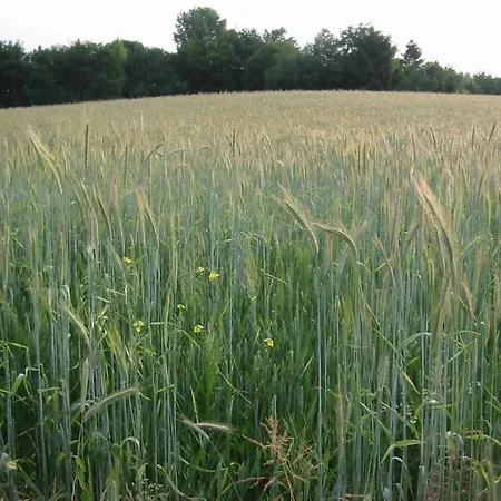 Σπίτι διακοπών Near Nature Reserve *