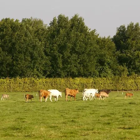 Near Nature Reserve Ferienhaus *