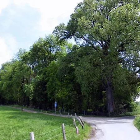 Near Nature Reserve Σπίτι διακοπών Bemelen